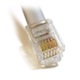 Subcategory image for Phone Cable