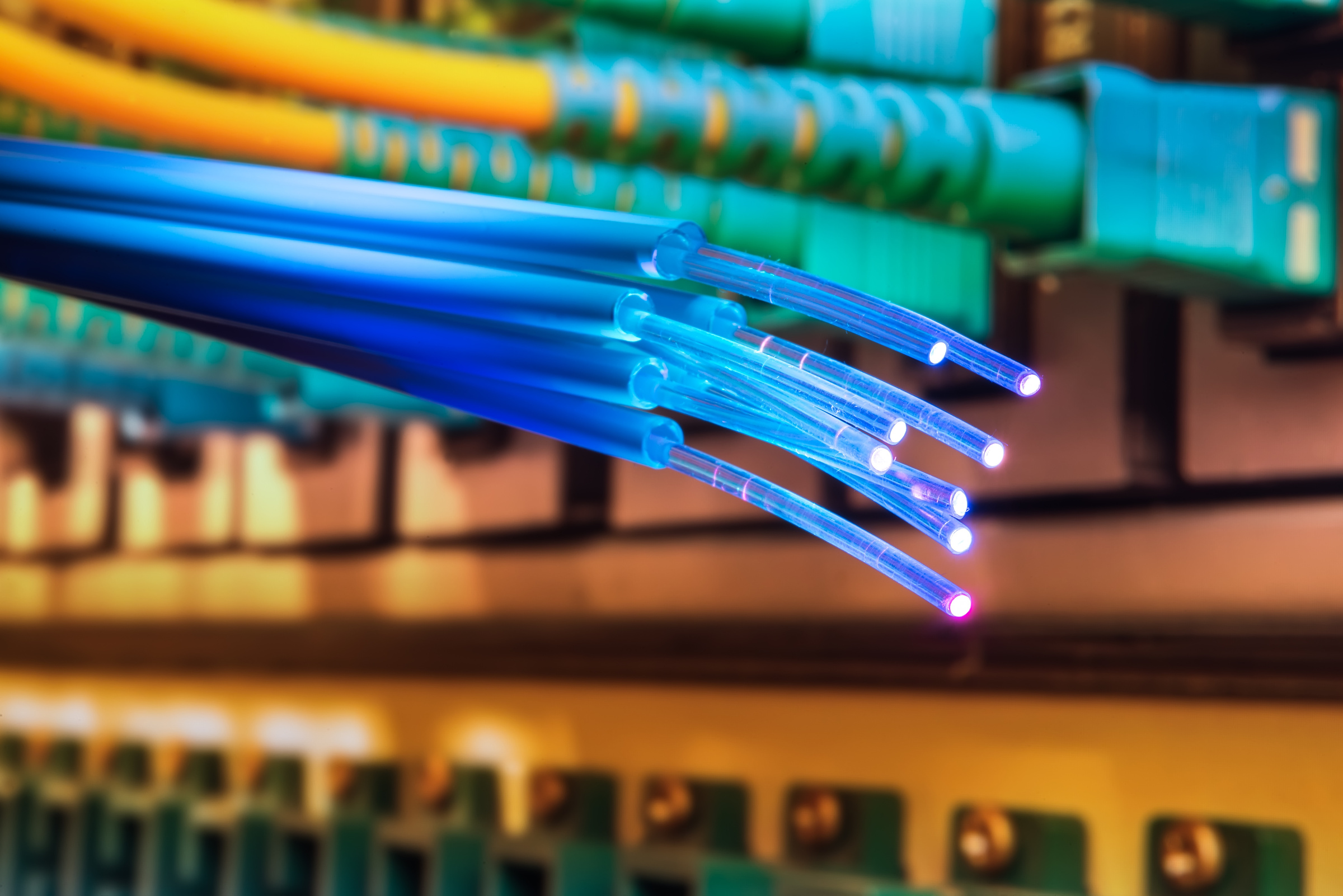 Close-up of a bundle of glowing blue fiber optic cables with illuminated tips, set against a background of various colored cables and connectors in a network rack