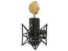 Lollipop-Style Large Diaphragm Condenser Microphone