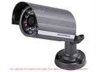 350TVL, 4.3mm Fixed Lens, 23 IR LEDs, Sony CCD, DC12V, IR Bullet Camera 