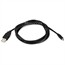 6ft USB 2.0 A Male to Mini-B 4pin Male 28/28AWG Cable 6ft USB 2.0 A Male to Mini-B 4pin Male 28/28AWG Cable