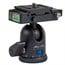 Camera Head Mini Ball with Plate Camera Head Mini Ball with Plate