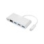 Select Series USB-C to 3x USB-A 3.0, Gigabit Ethernet & USB-C (F) Adapter Select Series USB-C to 3x USB-A 3.0, Gigabit Ethernet & USB-C (F) Adapter