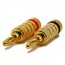 1 PAIR OF High-Quality Gold Plated Speaker Banana Plugs, Closed Screw Type 1 PAIR OF High-Quality Gold Plated Speaker Banana Plugs, Closed Screw Type