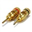 1 PAIR OF High-Quality Gold Plated Speaker Pin Plugs, Pin Screw Type 1 PAIR OF High-Quality Gold Plated Speaker Pin Plugs, Pin Screw Type