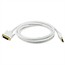 10ft 28AWG DisplayPort to DVI Cable - White 10ft 28AWG DisplayPort to DVI Cable - White