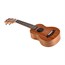 Idyllwild Sapele Soprano Ukulele with Gig Bag Idyllwild Sapele Soprano Ukulele with Gig Bag