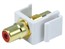Keystone Jack - Modular RCA w/Red Center (White) Keystone Jack - Modular RCA w/Red Center (White)