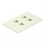 Wall Plate for Keystone, 4 Hole - Ivory Wall Plate for Keystone, 4 Hole - Ivory