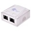 Surface Mount Box Cat6 Double Surface Mount Box Cat6 Double