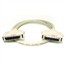 HPDB50 M/M SCSI Cable , 25PR - 6ft HPDB50 M/M SCSI Cable , 25PR - 6ft