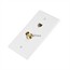 Cat5e / BNC Wall Plate (Cat5e + BNC) - Coupler Type Cat5e / BNC Wall Plate (Cat5e + BNC) - Coupler Type