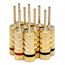 5 PAIRS OF High-Quality Gold Plated Speaker Pin Plugs, Pin Screw Type 5 PAIRS OF High-Quality Gold Plated Speaker Pin Plugs, Pin Screw Type