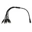 DC Power Splitter 1 Female to 8 Male DC Power Splitter 1 Female to 8 Male