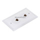 Product image for Wall Plate Jacks 8P8C Double