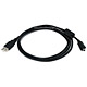 Product Image for 6ft A to Mini-B 8pin USB Cable w/ ferrites for Nikon Coolpix series & HP PhotoSmart Series 