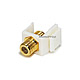 Product image for Keystone Jack - Modular F Type (White) (Gold Plated)