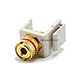 Product image for Keystone Jack - Banana Jack w/Red Ring (White)