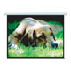 Product image for Electric Projection Screen (150 inch, 4:3)