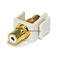 Product image for Keystone Jack - Modular RCA w/White Center (White) 