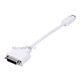 Image of Mini-DVI to DVI Adapter
