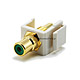 Product image for Keystone Jack - Modular RCA w/Green Center (White)