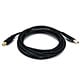 10ft USB 2.0 A Male to B Male 28/24AWG Cable (Gold Plated)