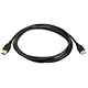 10ft USB 2.0 A Male to A Male 28/24AWG Cable (Gold Plated)