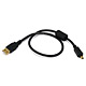 1.5ft USB 2.0 A Male to Mini-B 4pin Male 28/24AWG Cable w/ Ferrite Core (Gold Plated)