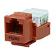 Image of Cat5E RJ-45 Toolless Keystone Jack - Orange
