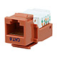 Image of Cat6 RJ-45 Toolless Keystone - Orange