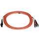 Product image for MTRJ (Female)-ST/PC, MM, Duplex, 62.5/125, 1.8MM DIA. 3 Meter-(Patch Cord/Jumper)