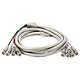 5BNC RGB to 5BNC RGB Video Cable - 10ft