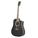 "Foothill Flat Top" Acoustic / Electric Guitar with EQ - Black