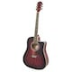"Foothill Flat Top" Acoustic / Electric Guitar with EQ - Cherry Marble Design