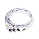 Product image for Apple iPod AV Composite Cable TV Out - 6ft