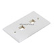 Product image for Wall Plate for Keystone, 2 Hole -White