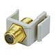 Image of Keystone Jack - Modular F Type (Ivory)