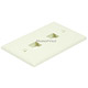Product image for Wall Plate for Keystone, 2 Hole - Ivory