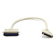 Image of HPDB50 M/CN50 M SCSI Cable , 25PR - 1.5ft