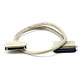 Image of HPDB68 M/CN50 M SCSI Cable - 3ft