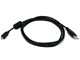 Small Product Image 1 for 6ft A to Mini-B 8pin USB Cable w/ ferrites for Nikon Coolpix 775 and Olympus D40,C40 