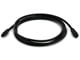 Small Product Image 1 for 9 PIN/ 9PIN BETA FireWire 800 - FireWire 800 Cable,  6FT, Black 