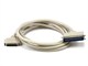 Small Product Image 1 for HPDB50 M/CN50 M SCSI Cable , 25PR -10ft 