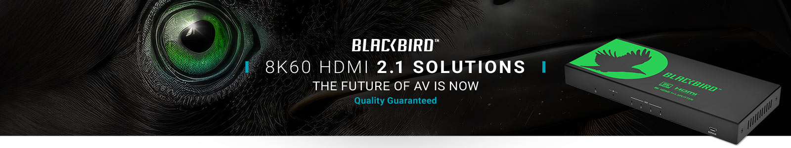 NEW (tag)
Blackbird (logo)
8K60 HDMI
The Future Of AV Is Now
Quality Guaranteed
Shop Now