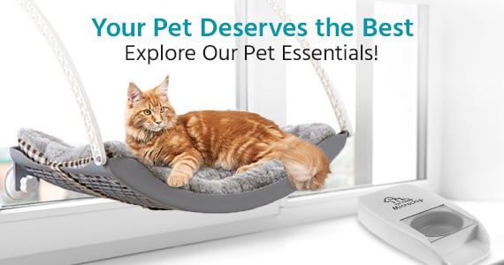 Your Pet Deserves the Best: Explore Our Pet Essentials!