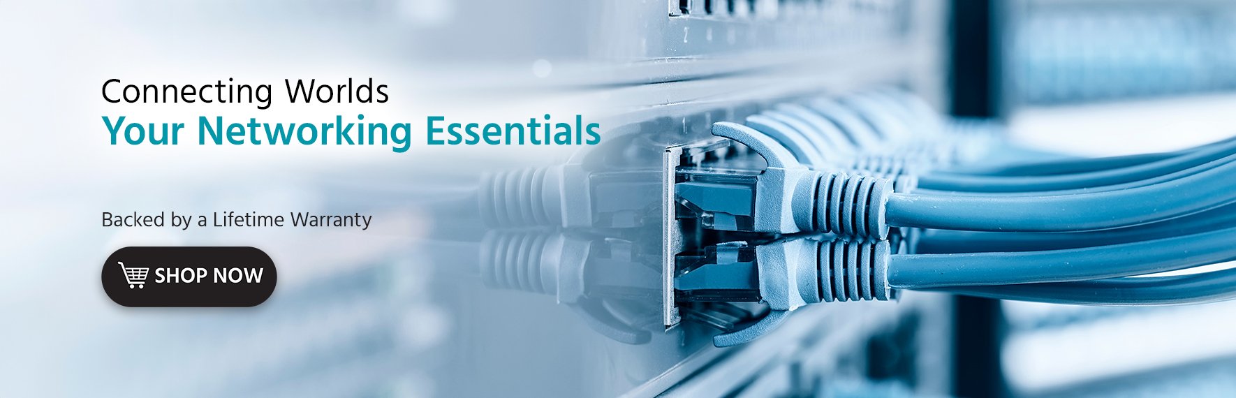 Connecting Worlds: Your Networking Essentials Shop Now