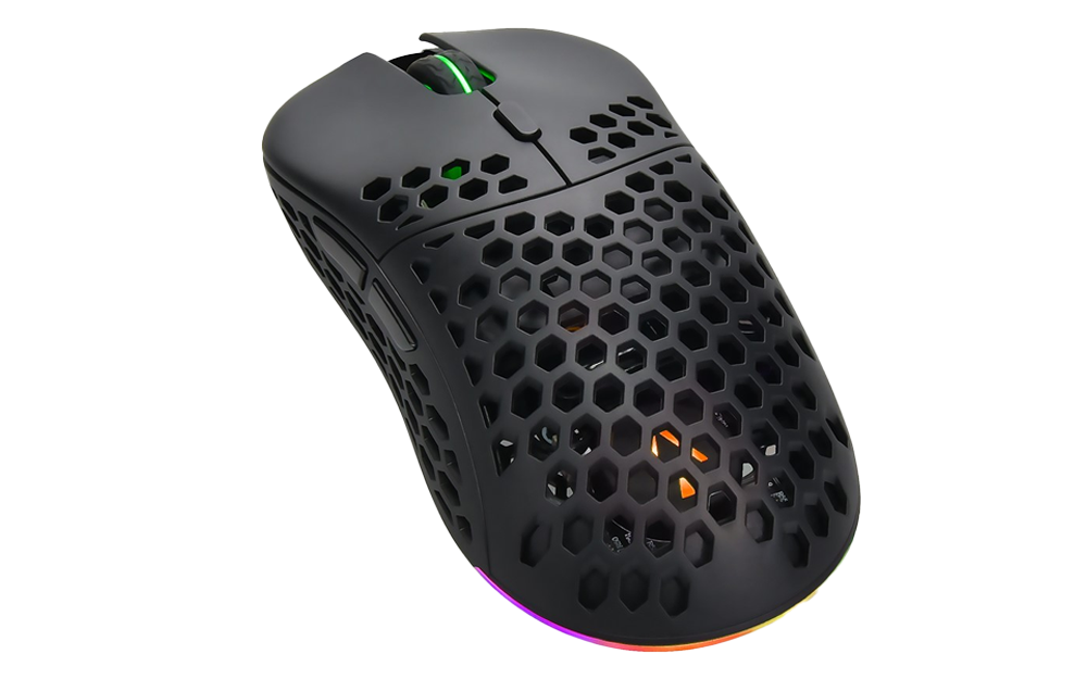 Mouse