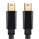 Monoprice Select Series Mini DisplayPort 1.2 Cable, 6ft