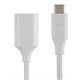 Palette Series 2.0 USB-C to USB A Female, 6-inch White